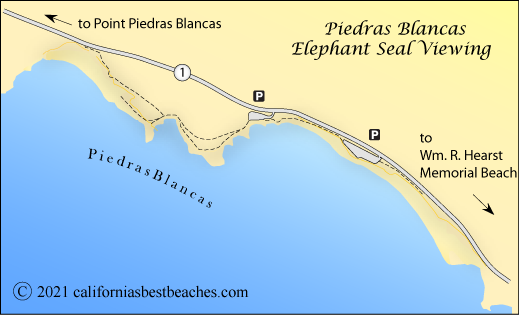 Piedras Blancas elephant seal beaches, San Luis Obispo County, CA