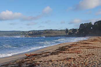 Monastery Beach California S Best Beaches