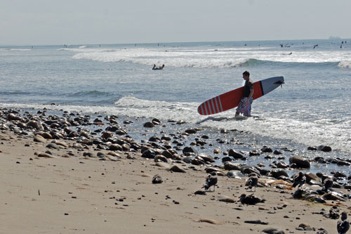 San Onofre surfer, CA