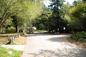 campground at Russian Gulch State Park, Mendocino County, CA