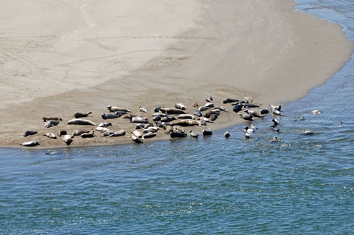 Big Lagoon, Humboldt County, CA