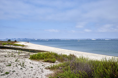Silver Strand Beach, San Diego County, California
