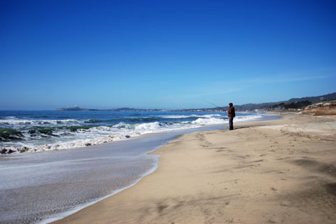 Dunes Beach, Half Moon Bay State Beach, California
