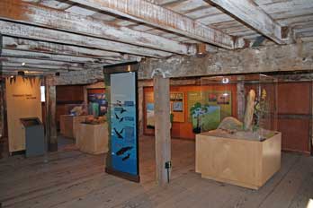 Marine Education Center, Ano Nuevo, CA