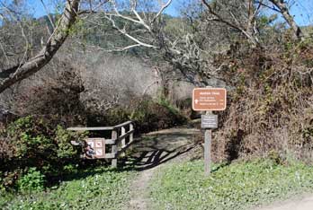 Theodore J. Hoover Natural Preserve  Marsh Trail, Santa Cruz County, CA