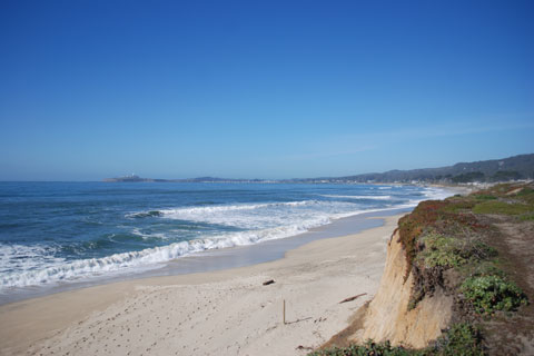Half Moon Bay State Beach / Northern California / California