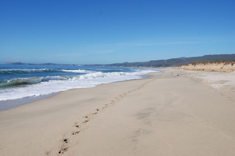 Venice Beach, Half Moon Bay State Beach, California