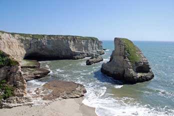 Davenport Beaches