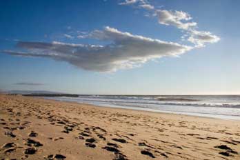 Dockweiler State Beach California S Best Beaches