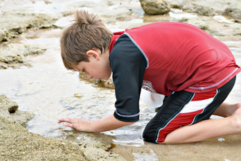 boy exploring a tide pool