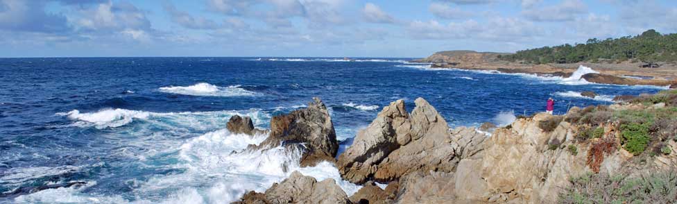 Point Lobos State Natural Reserve, Monterey County, California