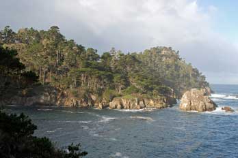 Point Lobos State Natural Reserve, Monterey, CA